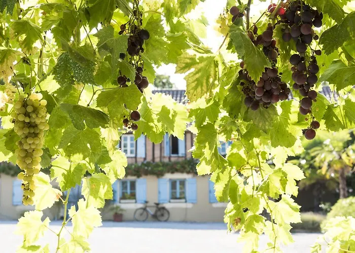 Maison Manechal בית נופש Monfaucon (Hautes-Pyrenees)
