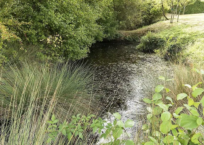 Maison Manechal בית נופש