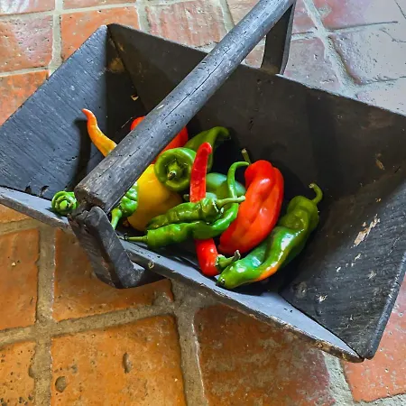 Σπίτι διακοπών Maison Manechal