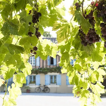Maison Manechal Vakantiehuis Monfaucon (Hautes-Pyrenees)