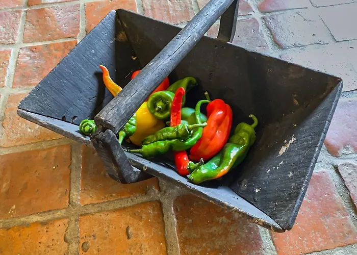 펜션 Maison Manechal